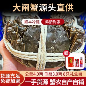 精品苏州大闸蟹一手货源产地养殖蟹农直销批发团购