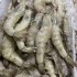 山东青岛大虾鲜活基围虾青岛海虾青虾对虾冷冻鲜虾