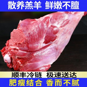 羊肋排羊肉新鲜现杀原切羊腿内蒙古整只全腿冷冻食材生鲜批发