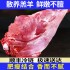 羊肋排羊肉新鲜现杀原切羊腿内蒙古整只全腿冷冻食材生鲜批发